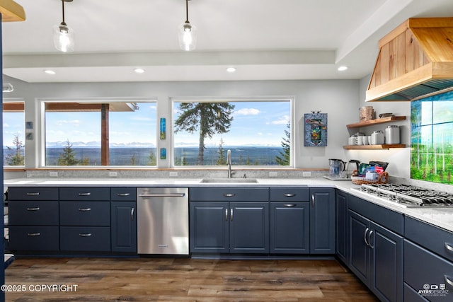 kitchen featuring a wealth of natural light, premium range hood, stainless steel appliances, and a sink