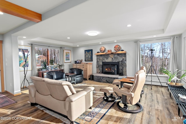 living area with a healthy amount of sunlight, a raised ceiling, and wood finished floors