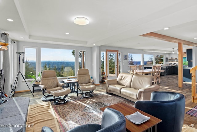 living area with a raised ceiling, recessed lighting, light wood-type flooring, and baseboards