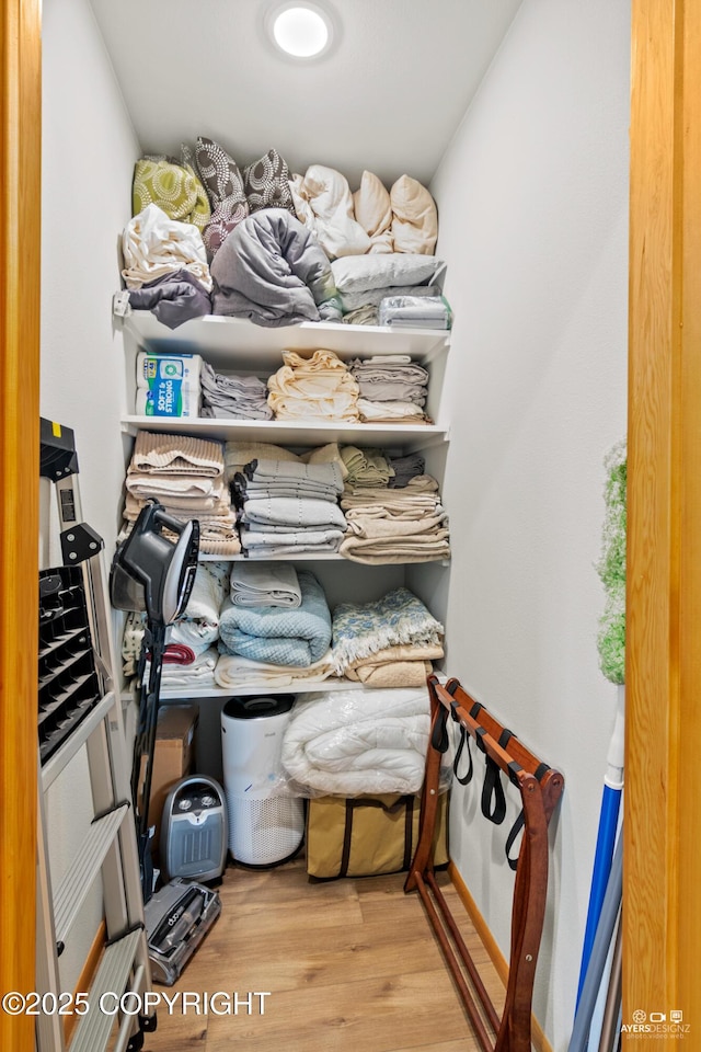 spacious closet with wood finished floors