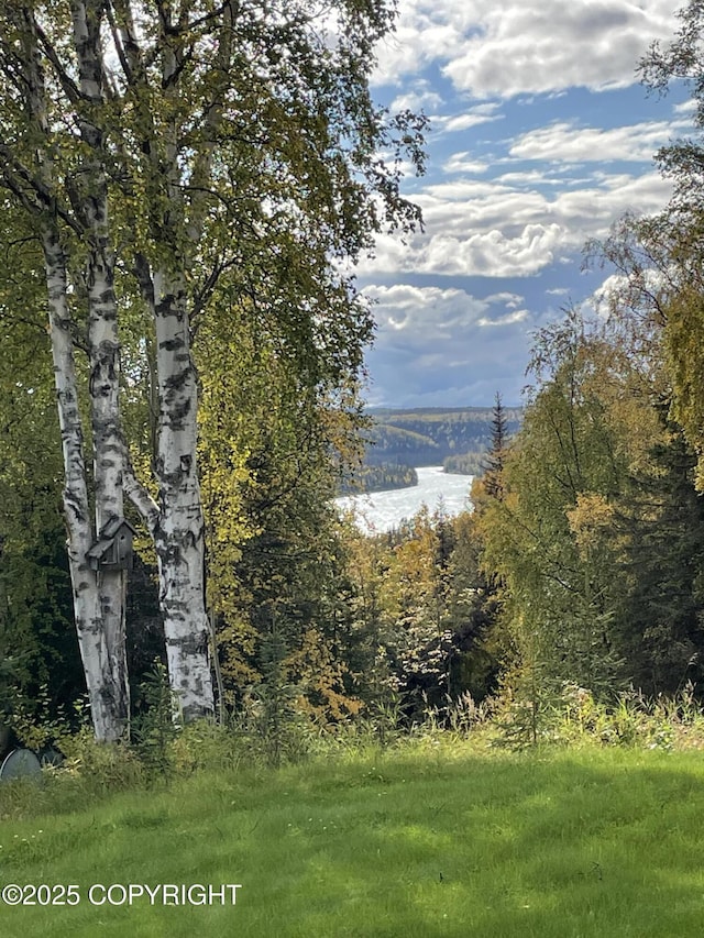 property view of water with a view of trees