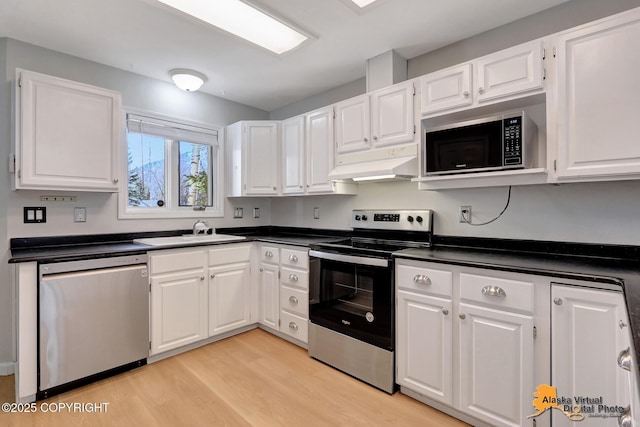 kitchen featuring a sink, white cabinets, under cabinet range hood, and stainless steel appliances