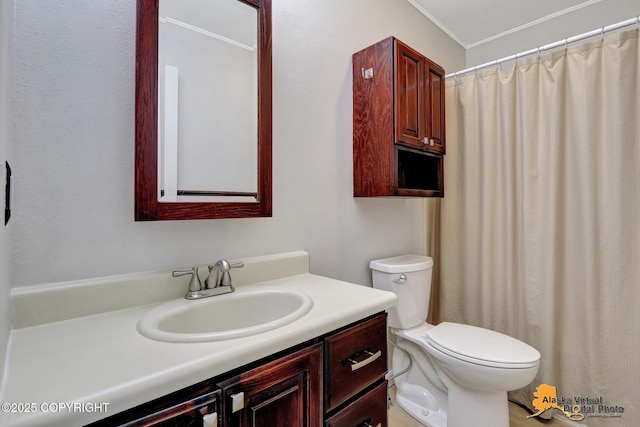 full bathroom with vanity, toilet, and a shower with curtain