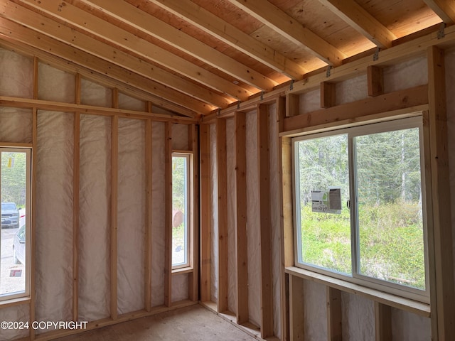 miscellaneous room with lofted ceiling