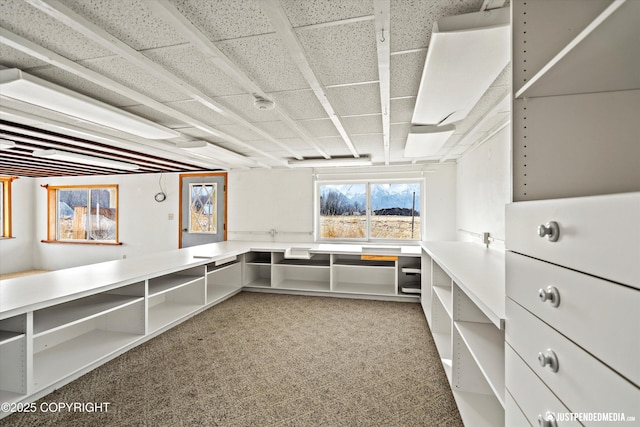 walk in closet featuring light carpet