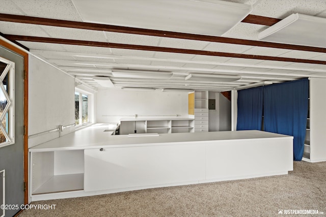 kitchen featuring carpet floors