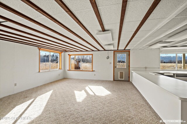 unfurnished living room featuring light carpet