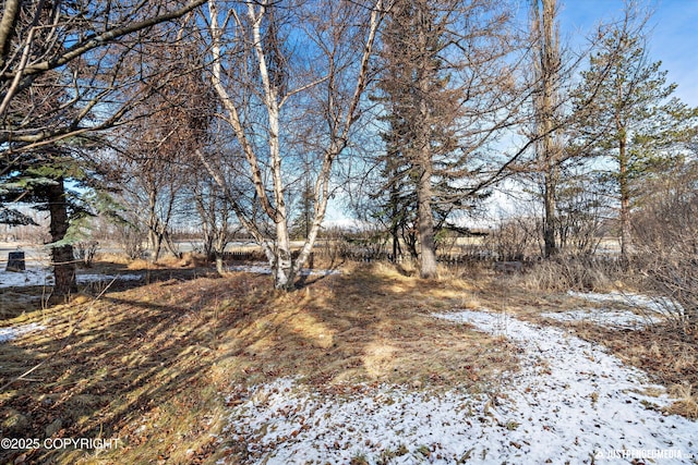 view of snowy yard