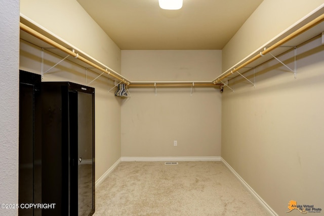1091 Northpointe Bluff Dr, Anchorage, AK 99501 - walk in closet with carpet floors