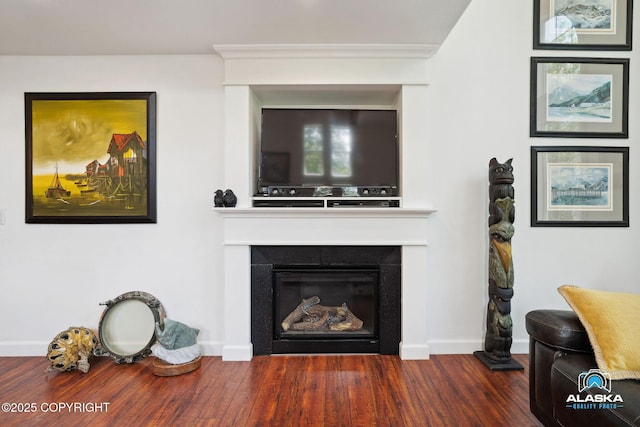 19136 S Birchwood Loop Rd, Chugiak, AK 99567 - living area with a glass covered fireplace, wood finished floors, and baseboards