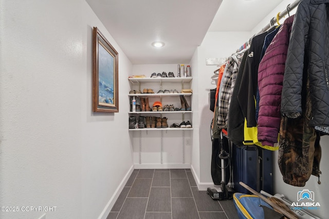 19136 S Birchwood Loop Rd, Chugiak, AK 99567 - view of walk in closet
