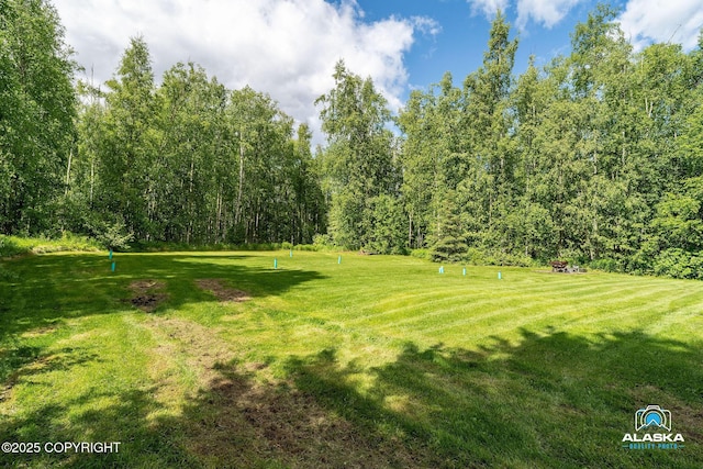 19136 S Birchwood Loop Rd, Chugiak, AK 99567 - view of grassy yard