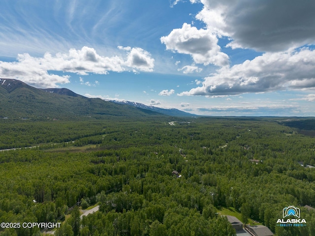 19136 S Birchwood Loop Rd, Chugiak, AK 99567 - aerial view of a forest and a mountainous background