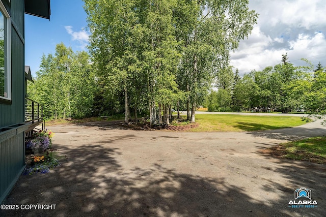 19136 S Birchwood Loop Rd, Chugiak, AK 99567 - view of green lawn