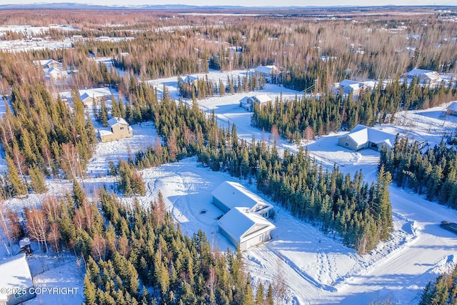 view of snowy aerial view