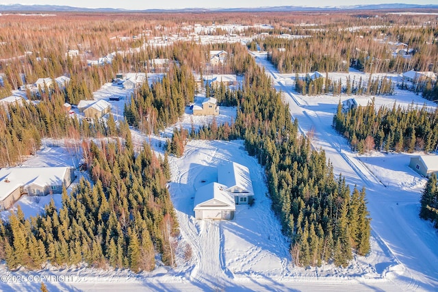 view of snowy aerial view