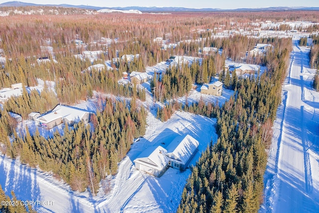 bird's eye view featuring a mountain view