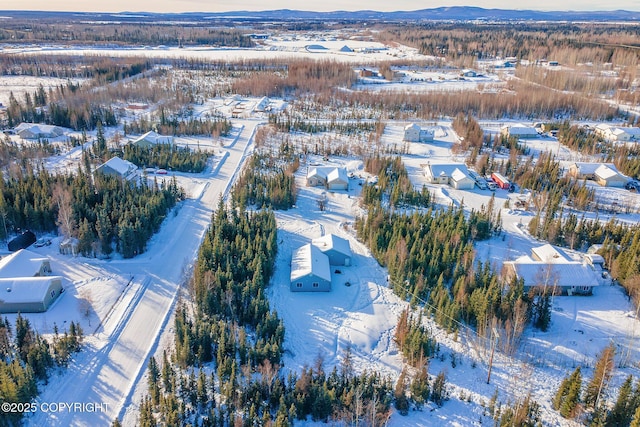 snowy aerial view featuring a mountain view