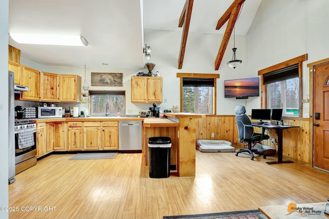 kitchen with light wood finished floors, appliances with stainless steel finishes, light brown cabinets, and light countertops