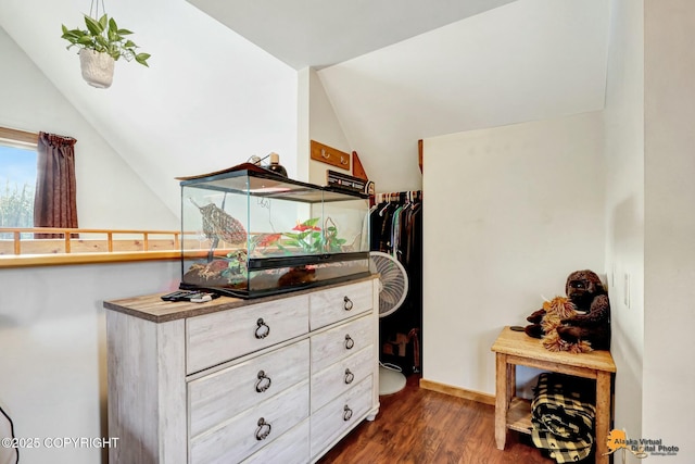 walk in closet with dark wood-style floors and lofted ceiling