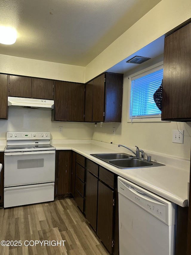 kitchen with dark brown cabinets, under cabinet range hood, wood finished floors, white appliances, and a sink