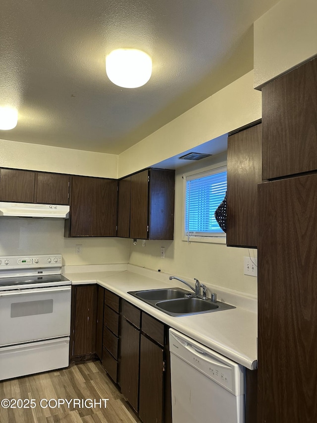 kitchen with a sink, under cabinet range hood, white appliances, dark brown cabinetry, and light countertops