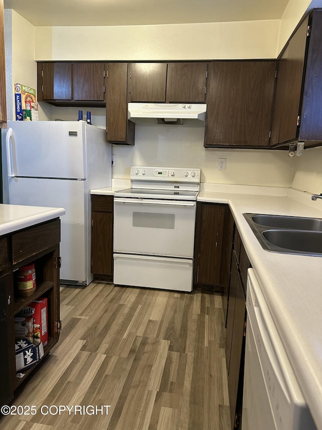 kitchen featuring a sink, under cabinet range hood, wood finished floors, white appliances, and dark brown cabinets