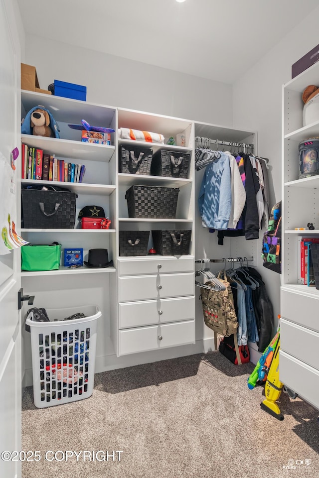 view of spacious closet