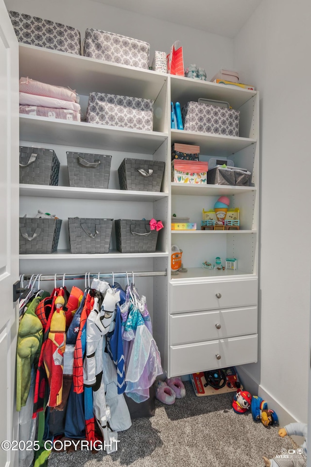 view of closet