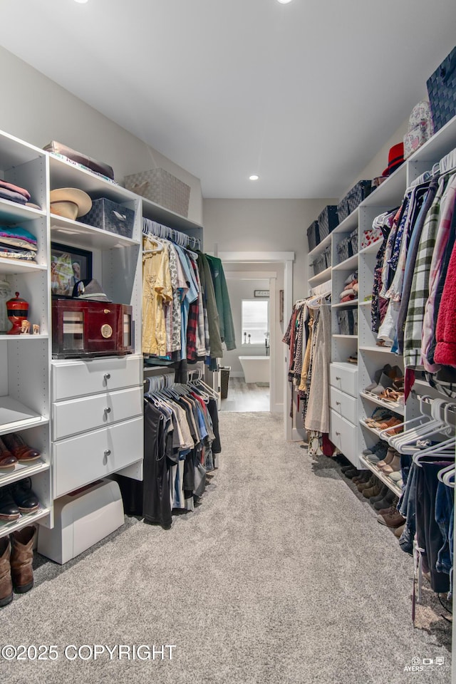 walk in closet featuring carpet floors