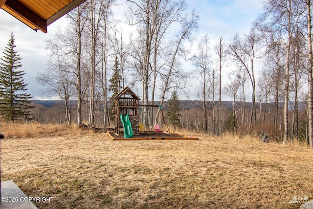 view of jungle gym