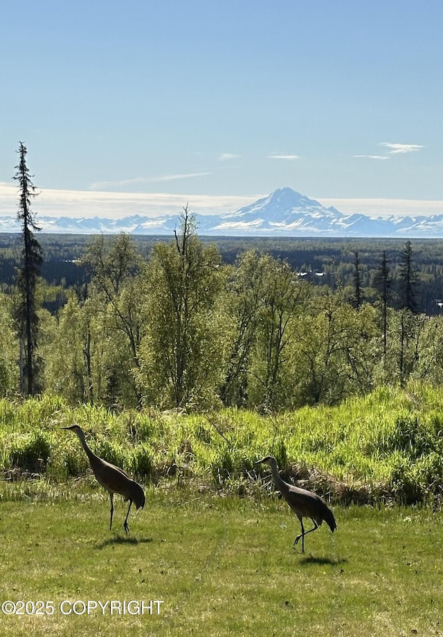 property view of mountains