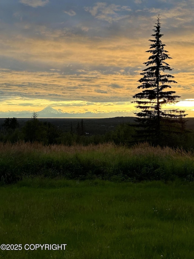 view of nature featuring a mountain view