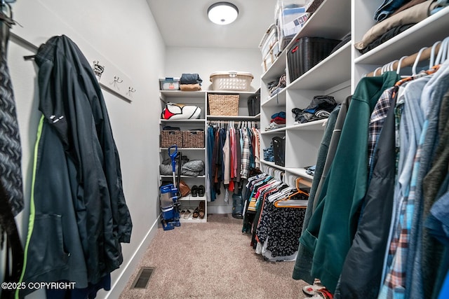 spacious closet with visible vents and carpet flooring