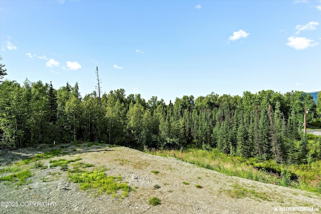 view of nature with a wooded view