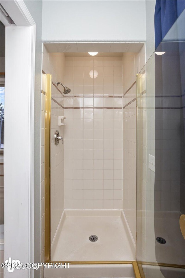 bathroom with a shower stall