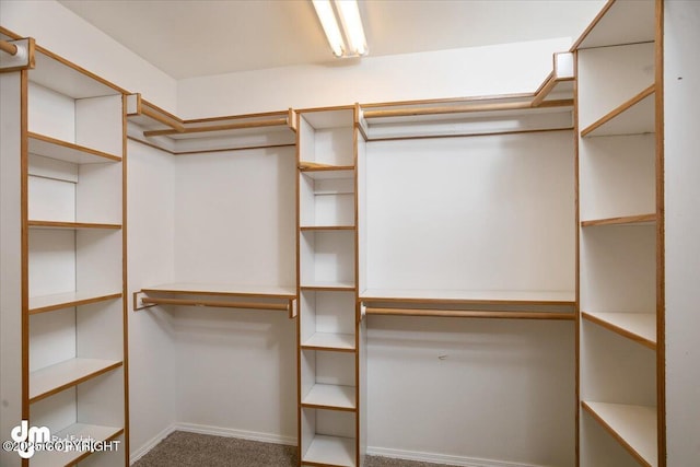 spacious closet with carpet