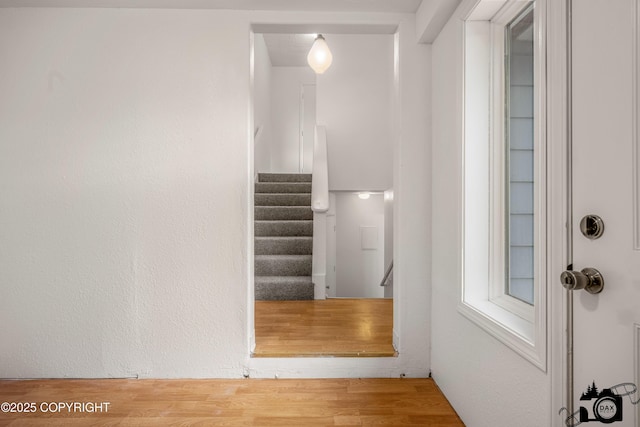 stairway featuring wood finished floors