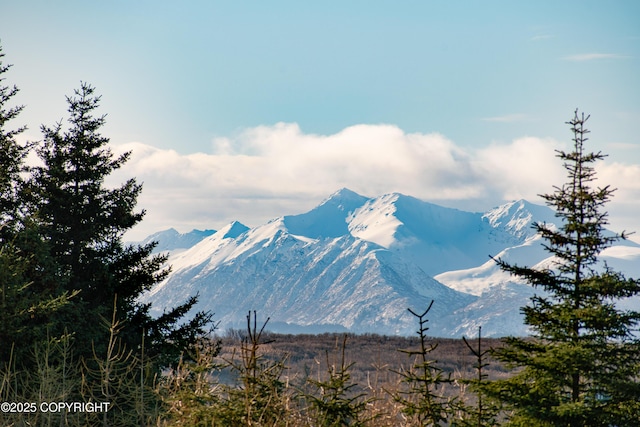 view of mountain feature