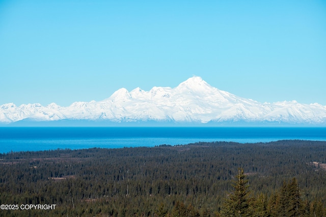 water view with a mountain view and a wooded view