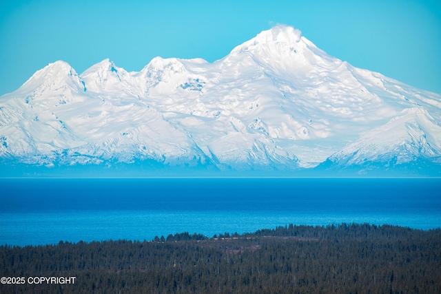 water view with a mountain view and a view of trees