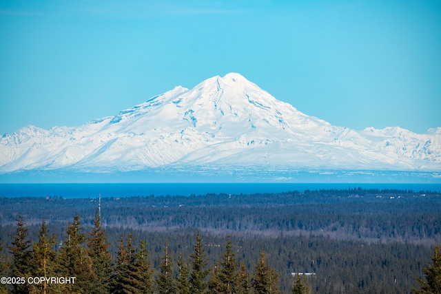 view of mountain feature featuring a forest view