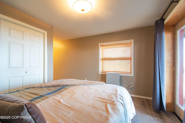 bedroom featuring a barn door, wood finished floors, baseboards, and a closet