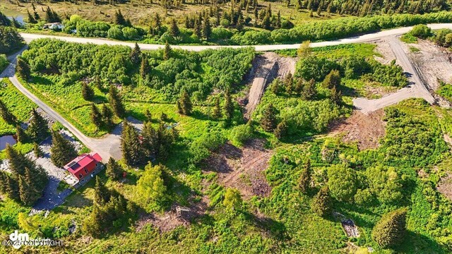 L2 Hutler Rd, Homer, AK 99603 - photo 22