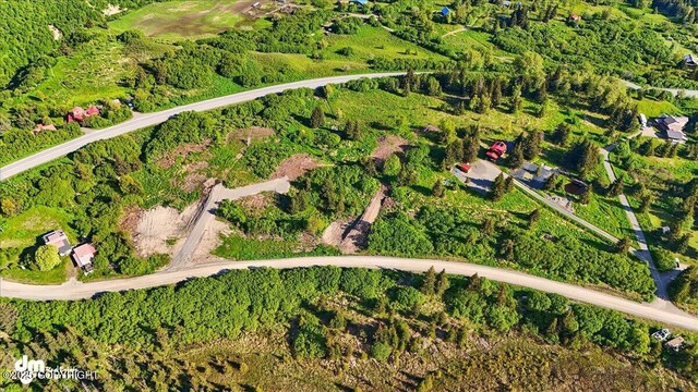 L2 Hutler Rd, Homer, AK 99603 - photo 23
