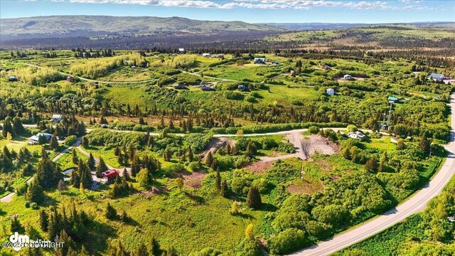 L2 Hutler Rd, Homer, AK 99603 - photo 24