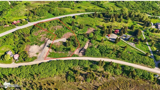 L2 Hutler Rd, Homer, AK 99603 - photo 26