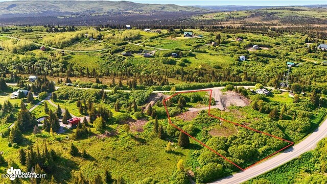 L2 Hutler Rd, Homer, AK 99603 - photo 3