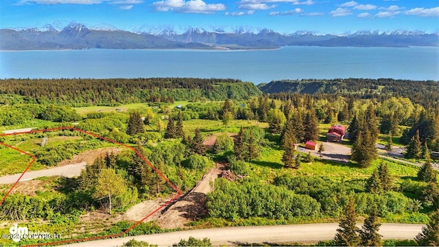 L2 Hutler Rd, Homer, AK 99603 - photo 1