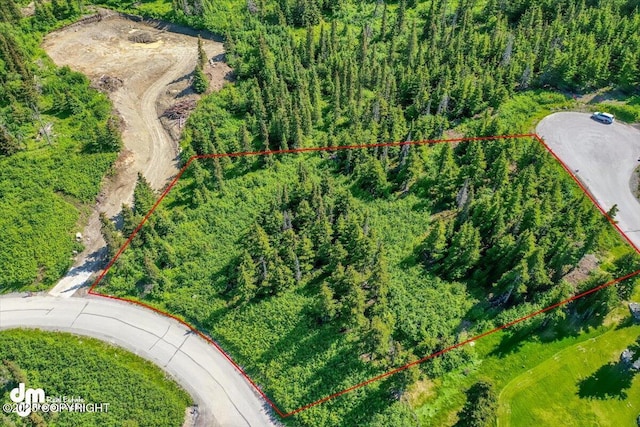 L6B4 Mountain Breeze Dr, Anchorage, AK 99516
